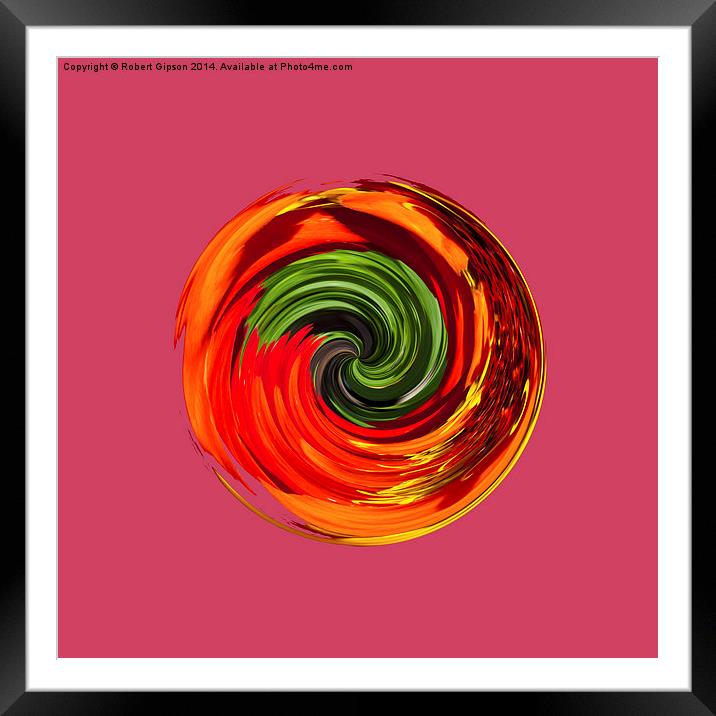 Red flower twirl in the globe  Framed Mounted Print by Robert Gipson