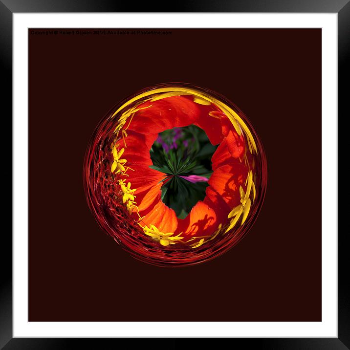  Red and yellow in the globe Framed Mounted Print by Robert Gipson