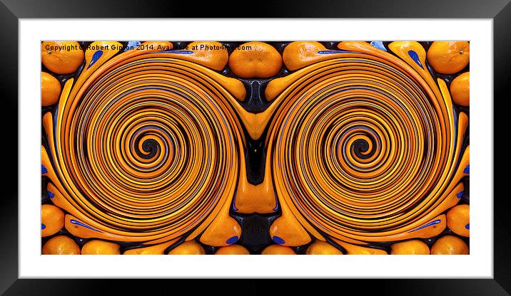  Fruit Swirl Framed Mounted Print by Robert Gipson