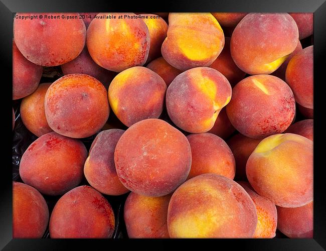  Just peaches Framed Print by Robert Gipson