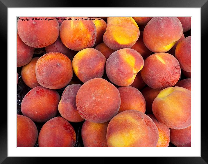  Just peaches Framed Mounted Print by Robert Gipson