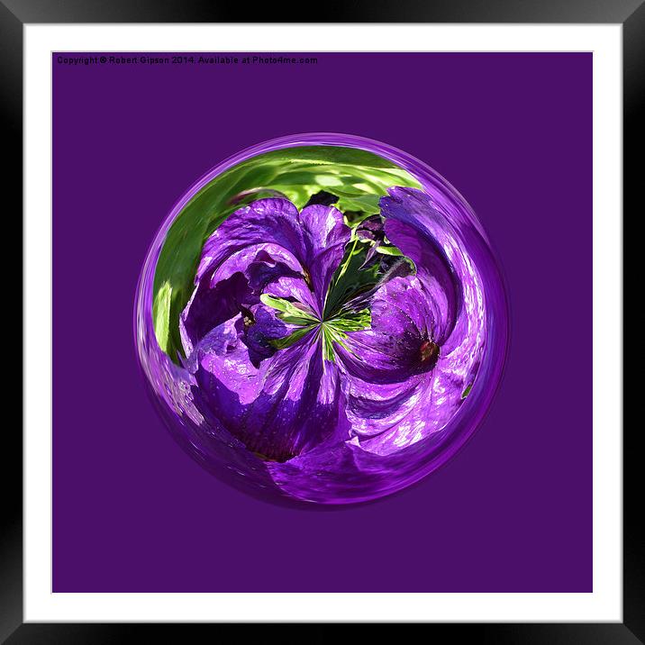   Purple Flower Globe Framed Mounted Print by Robert Gipson