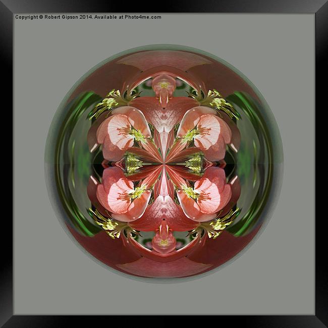  Four Flower Globe Framed Print by Robert Gipson