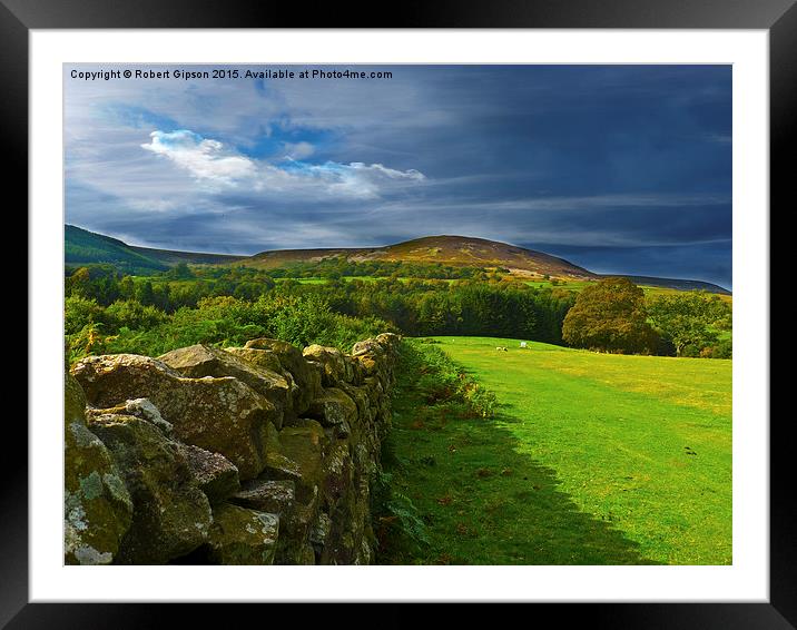  Yorkshire, looking it,s best again. Framed Mounted Print by Robert Gipson