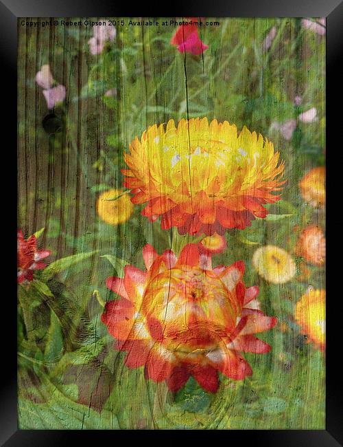  Flowers On Wood. Framed Print by Robert Gipson