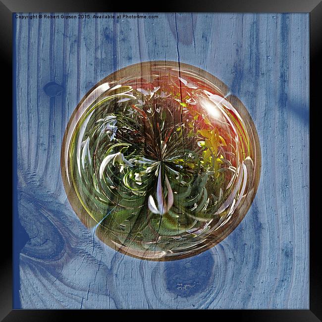  Flower Globe Bubble on Wood Framed Print by Robert Gipson