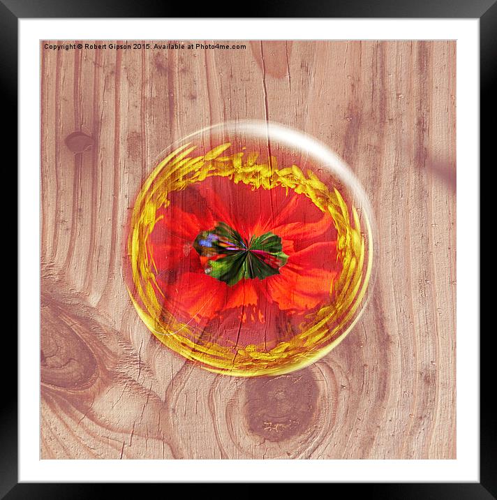  Flower Bubble across wood Framed Mounted Print by Robert Gipson