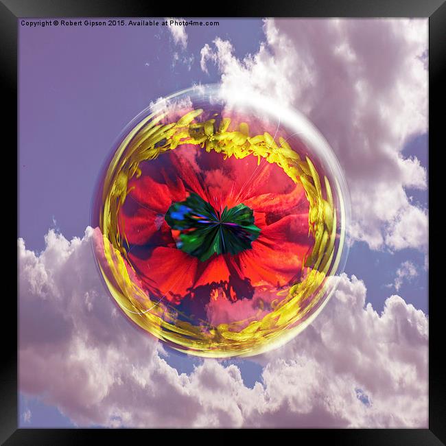  Flower Bubble in the sky Framed Print by Robert Gipson