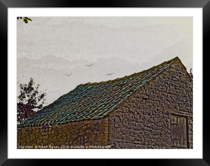 Birds over old Yorkshire roof abstract. Framed Mounted Print by Robert Gipson