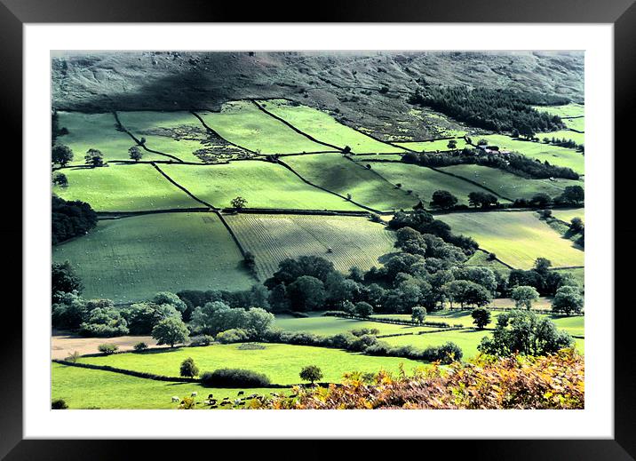 Landscape across the Yorkshire Dale Framed Mounted Print by Robert Gipson
