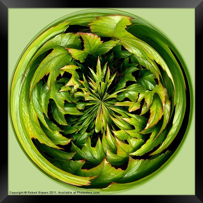 Spherical Paperweight Creeper Framed Print by Robert Gipson