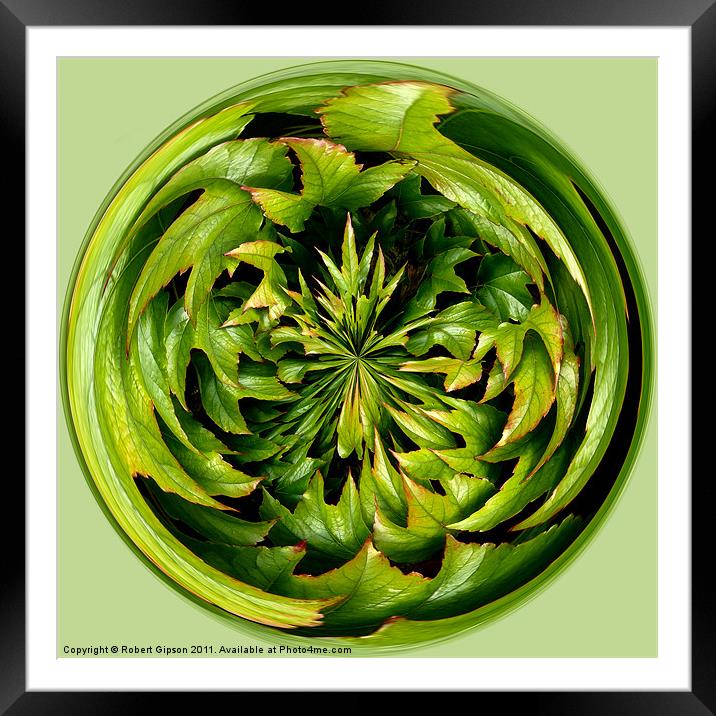 Spherical Paperweight Creeper Framed Mounted Print by Robert Gipson