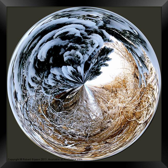 Spherical Paperweight Winters Entanglement Framed Print by Robert Gipson