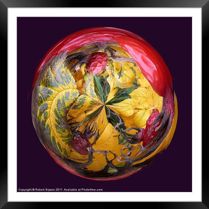 Spherical Paperweight Dog Rose Framed Mounted Print by Robert Gipson