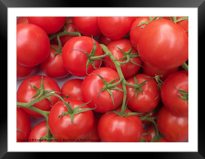 Tomatoes to go. Framed Mounted Print by Robert Gipson