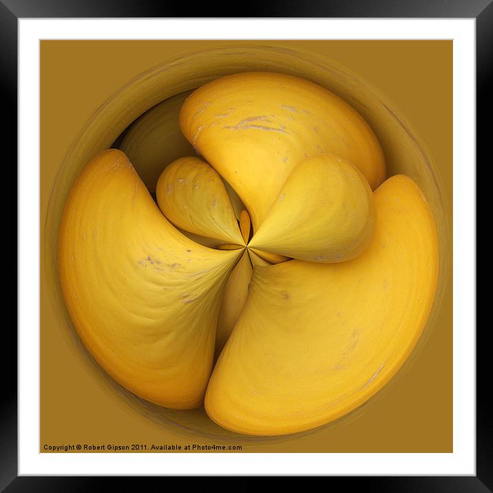 Spherical melons. Framed Mounted Print by Robert Gipson