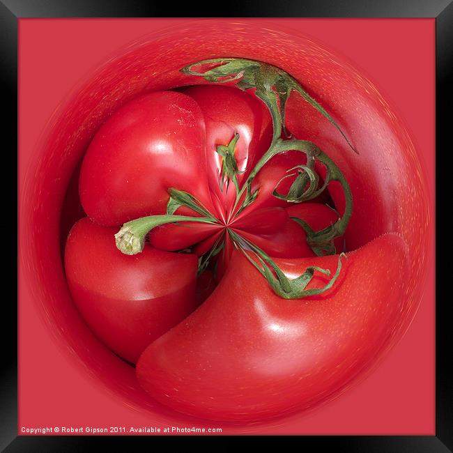 Spherical tomatoes Framed Print by Robert Gipson