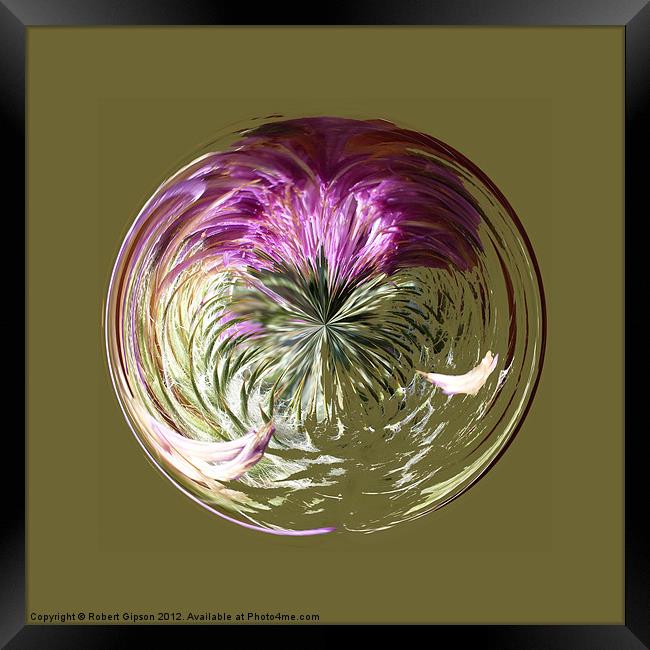 Spherical Paperweight Thistle Sphere Framed Print by Robert Gipson