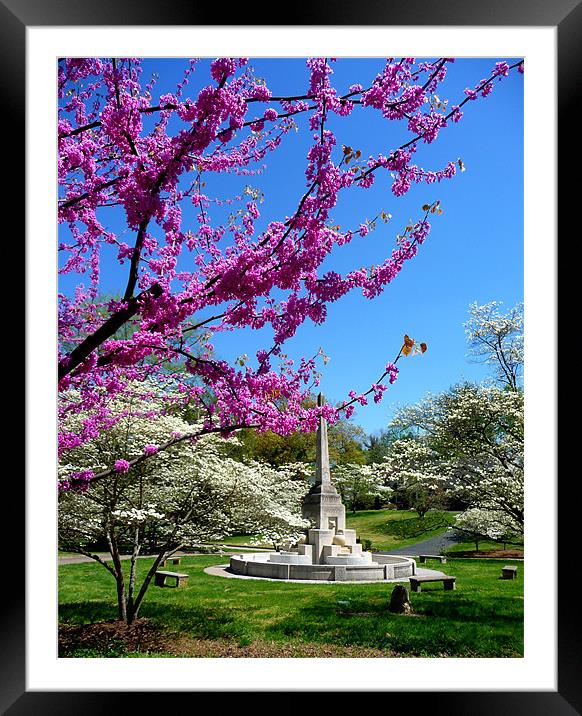 Southern Springtime Framed Mounted Print by Diane Hovey
