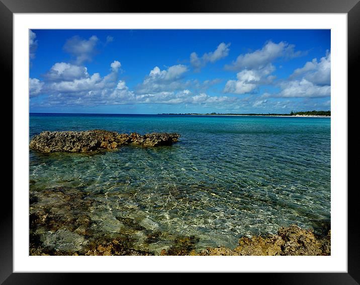 Sea Dragon Bay Framed Mounted Print by Diane Hovey