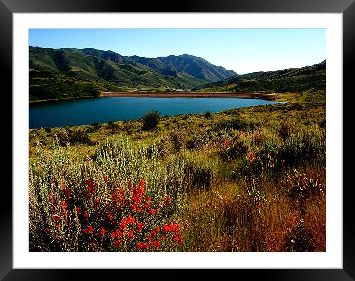 The High Country Framed Mounted Print by Diane Hovey