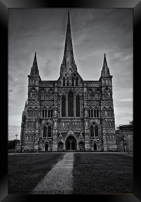 Salisbury Cathedral Framed Print by Daniel Bristow