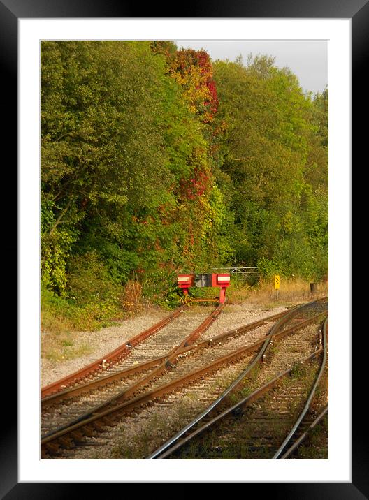 End of line for Summer Framed Mounted Print by Steve Purnell