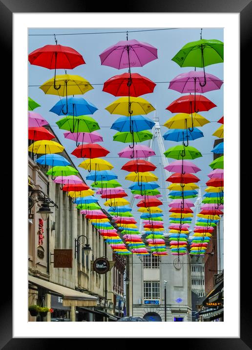 The Colourful Neurodiversity of Cardiff Framed Mounted Print by Steve Purnell