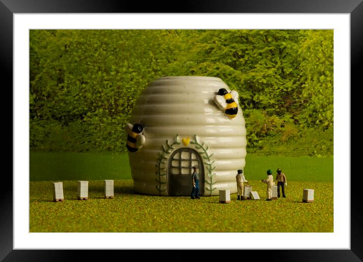 Honey Harvest at Beekeepers Cottage Framed Mounted Print by Steve Purnell