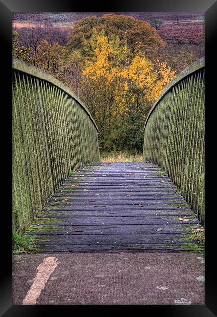 The Bridge to Autumn Framed Print by Steve Purnell