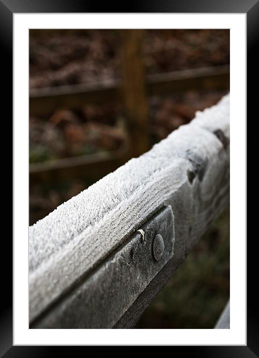 Frosty gate Framed Mounted Print by Steve Purnell