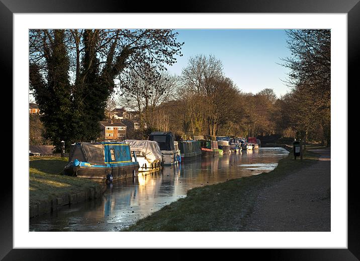 Serenity on Ice Framed Mounted Print by Steve Purnell