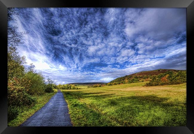 Dare Valley Country Park Framed Print by Steve Purnell