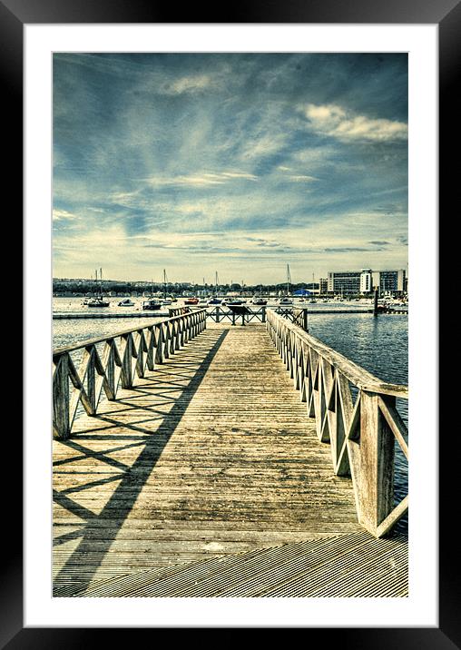 Cardiff Bay Wetlands Lomo 2 Framed Mounted Print by Steve Purnell