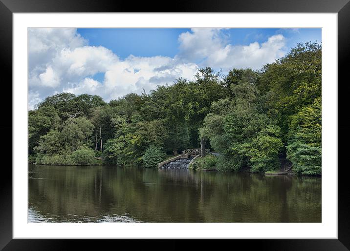 Gnoll Estate Country Park 2 Framed Mounted Print by Steve Purnell