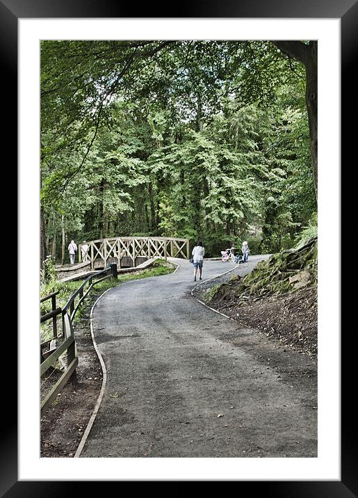 Gnoll Estate Country Park 3 Framed Mounted Print by Steve Purnell