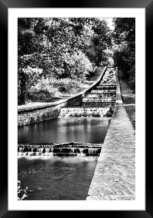 Gnoll Estate Country Park 4 Mono Framed Mounted Print by Steve Purnell