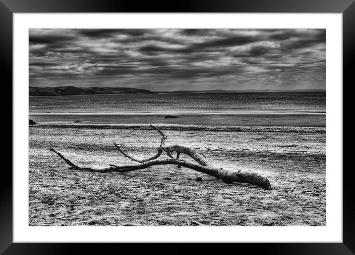 Driftwood 3 Mono Framed Mounted Print by Steve Purnell
