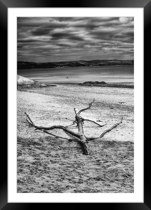 Driftwood 4 Mono Framed Mounted Print by Steve Purnell