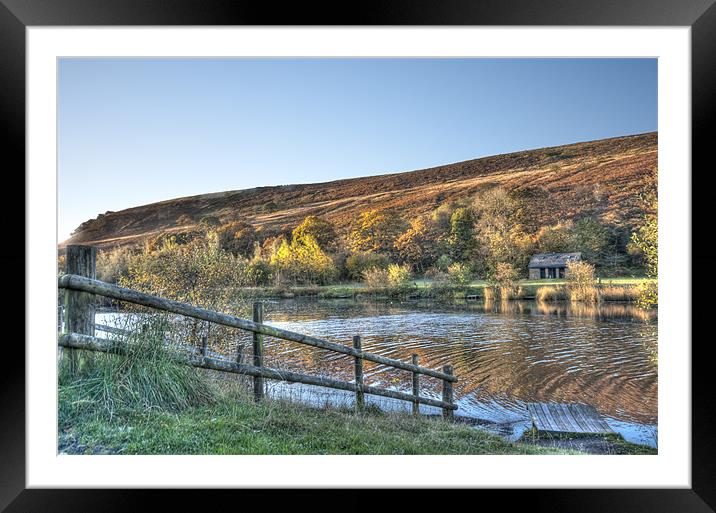 Autumn Pond Framed Mounted Print by Steve Purnell