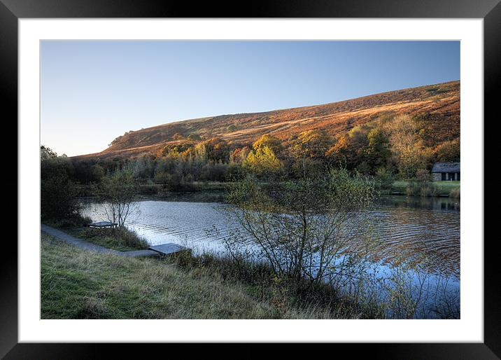 Autumn Pond 2 Framed Mounted Print by Steve Purnell