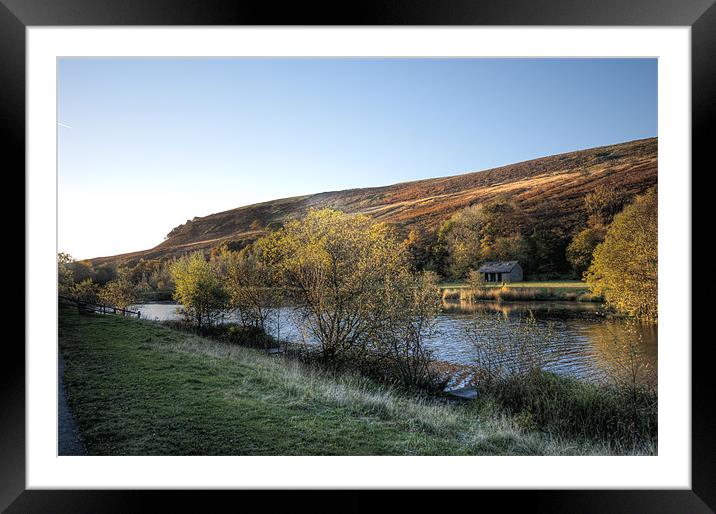 Autumn Pond 6 Framed Mounted Print by Steve Purnell