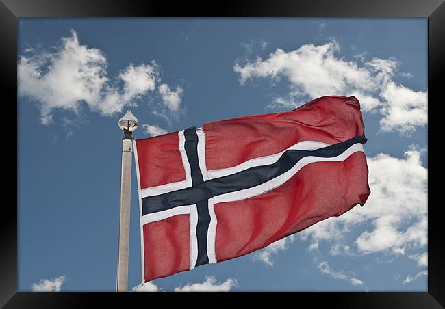 Flag Of Norway Framed Print by Steve Purnell