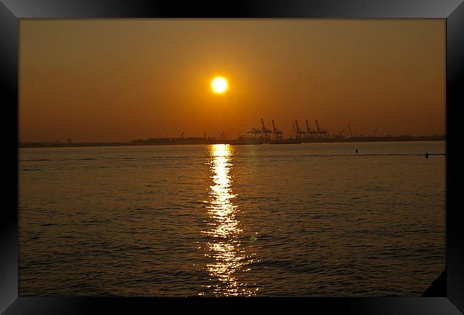 Majestic Sunset at Bayonne Docks Framed Print by Steve Purnell