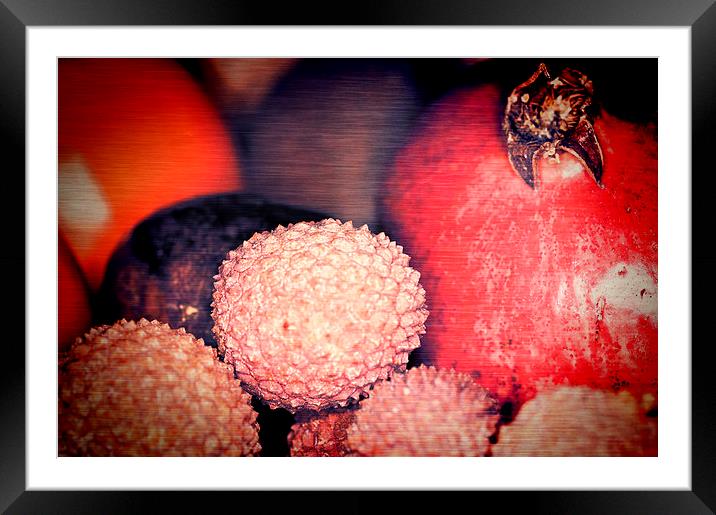 Exotique 2 Framed Mounted Print by Steve Purnell