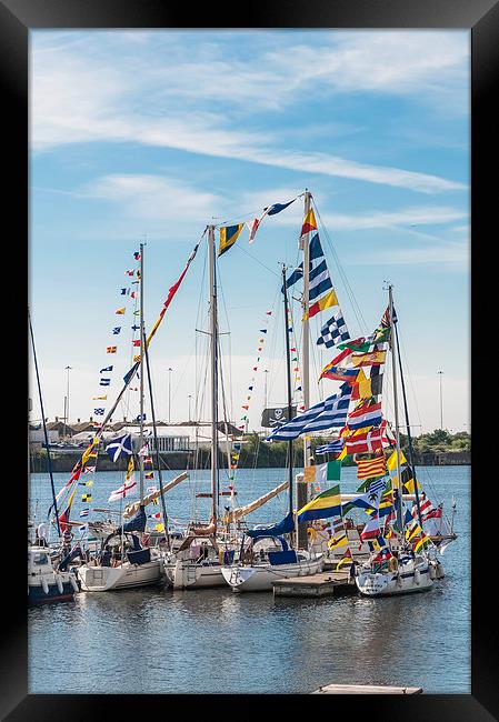 Flags Of The World 2 Framed Print by Steve Purnell