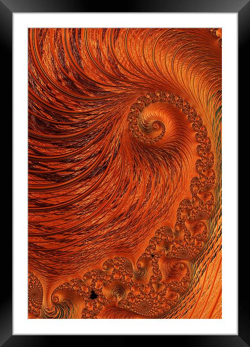 Orange Lily Fractal Framed Mounted Print by Steve Purnell