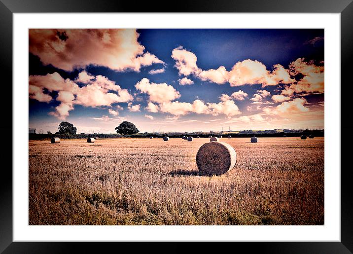 Baled Out Framed Mounted Print by Steve Purnell