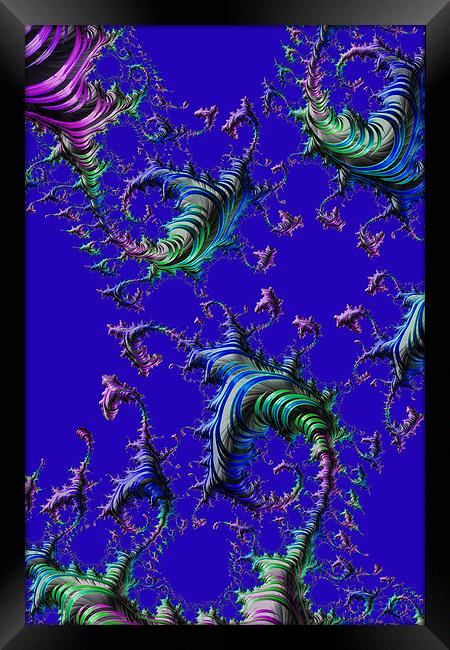 Blue Joy Framed Print by Steve Purnell