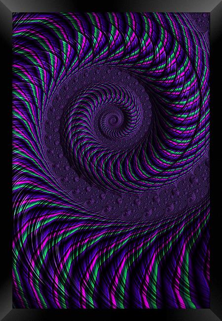 Purple Spiral Framed Print by Steve Purnell